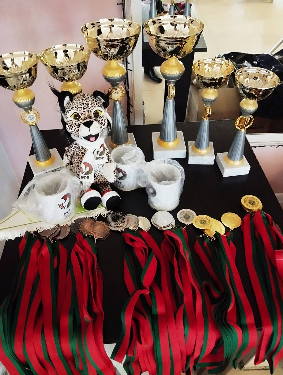 15-й Международный турнир по волейболу