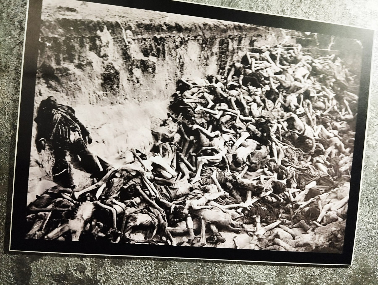 12-й международный Рождественский турнир ветеранов по волейболу среди мужских и женских команд