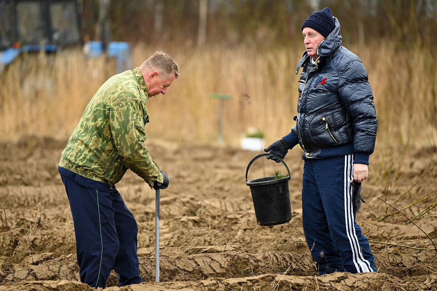 16 апреля 2025 г. посадили лес в Станьковском лесничестве Минского государственного производственного лесохозяйственного объединения в честь года благоустройства в республике и 80-летия Победы советского народа в Великой Отечественной войне