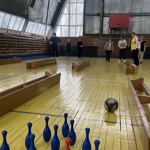 Соревнования по «боулингу» среди ветеранов физической культуры и спорта Логойского района