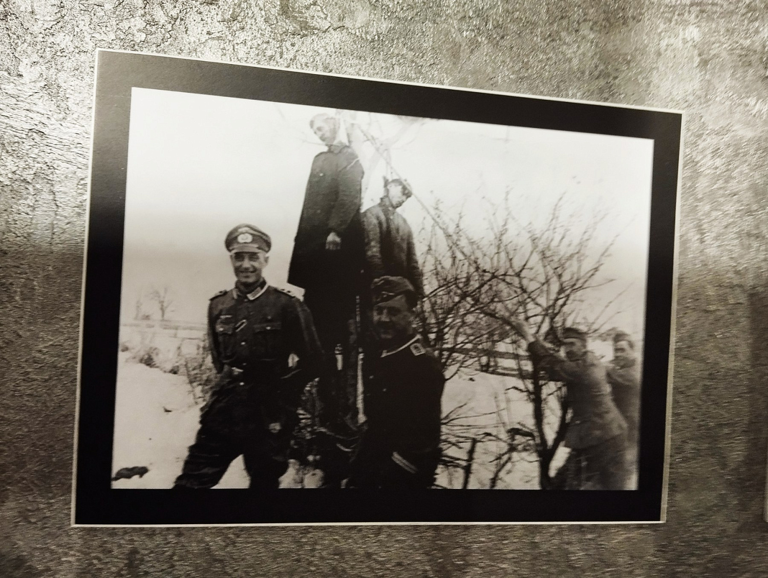 12-й международный Рождественский турнир ветеранов по волейболу среди мужских и женских команд