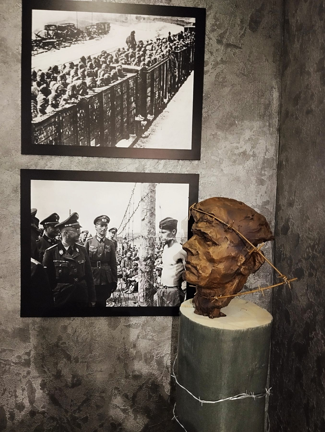 12-й международный Рождественский турнир ветеранов по волейболу среди мужских и женских команд