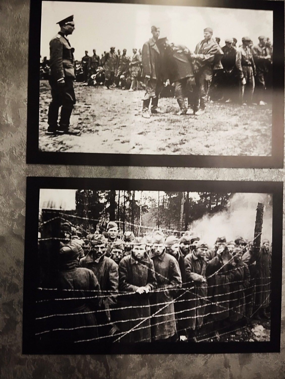 12-й международный Рождественский турнир ветеранов по волейболу среди мужских и женских команд