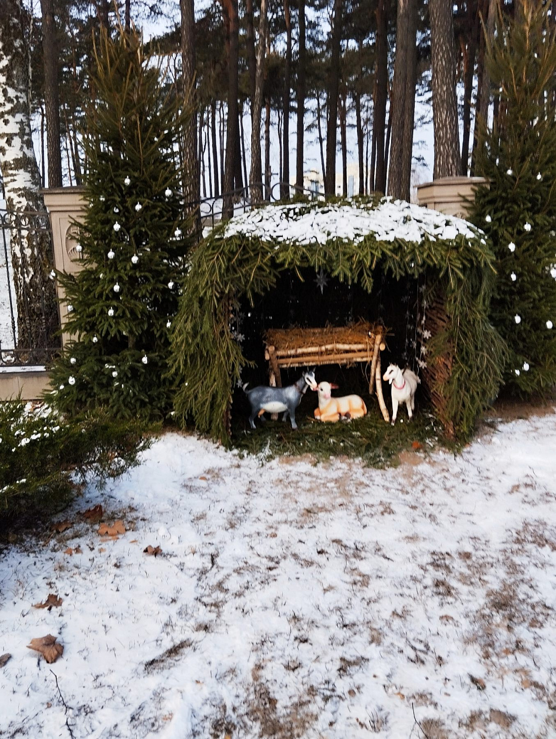 12-й международный Рождественский турнир ветеранов по волейболу среди мужских и женских команд